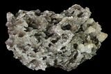 Calcite & Aragonite Stalactite Formation - Morocco #136281-2